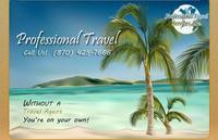Professional Travel Services