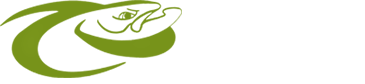 Dally's Ozark Fly Fisher