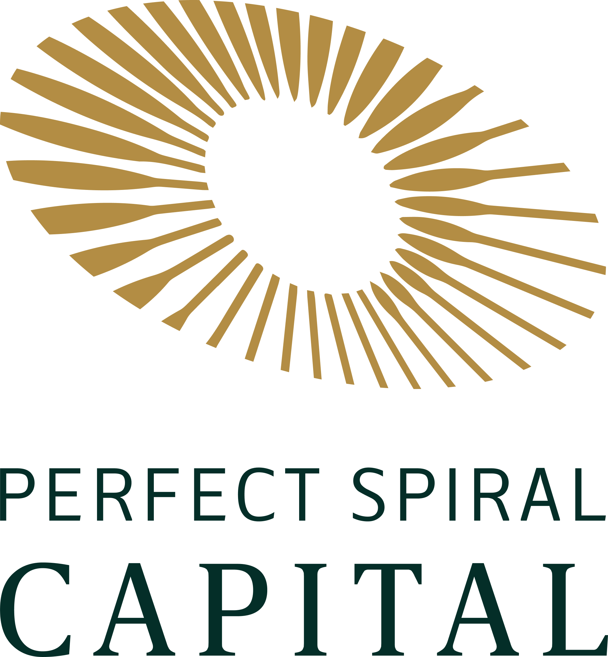 Perfect Spiral Capital 