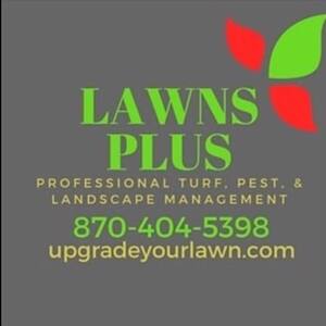 Lawns Plus Services 